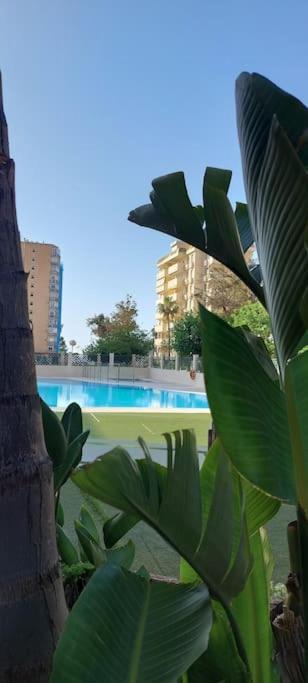 Elegante alojamiento con piscina a 200 m del mar. Apartamento Benalmádena Exterior foto